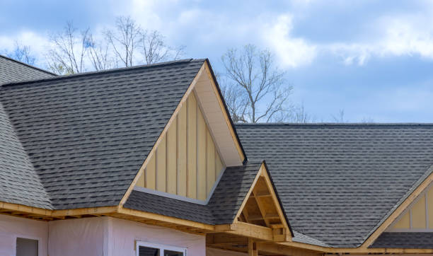 Best Roofing for New Construction  in Level Plains, AL